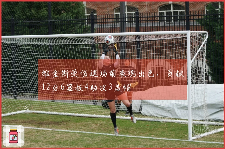 维金斯受伤退场前表现出色，贡献12分6篮板4助攻3盖帽